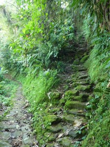 Colombia Jungle Tours