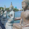 9 Reasons to Visit Sri Lanka
