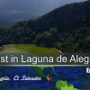Lost in Laguna de Alegria El Salvador - Video Ep. 13
